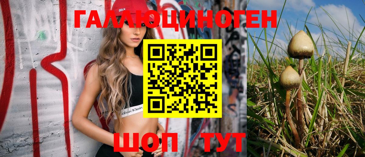 Галлюциногенные грибы Psilocybine cubensis  купить наркотики цена  Вход с VPN  Зеленокумск  Псилоцибиновые грибы мухоморы 